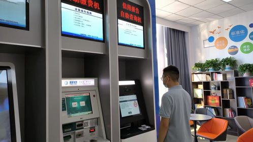 政務(wù)服務(wù)大廳引入征信報(bào)告自助查詢服務(wù)，提升便民服務(wù)水平